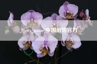 周口中国消防官方