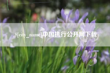 周口中国执行公开网下载