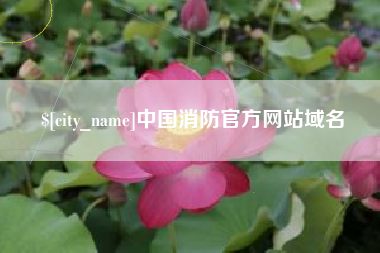 周口中国消防官方网站域名
