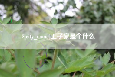 周口王子豪是个什么