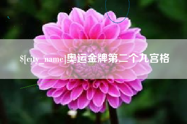 周口奥运金牌第二个九宫格