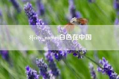 周口白色在中国