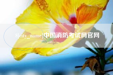 周口中国消防考试网官网