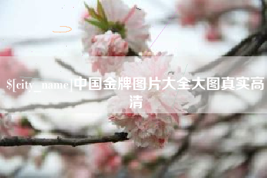 周口中国金牌图片大全大图真实高清