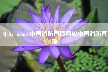 周口中国消防直播回放中国消防直播