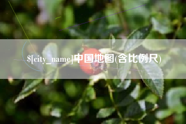 周口中国地图(含比例尺)