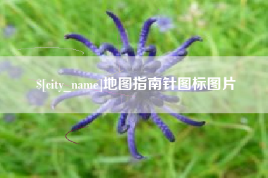 周口地图指南针图标图片