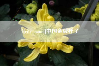 周口中国金牌样子