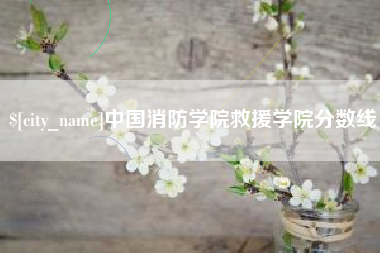 周口中国消防学院救援学院分数线