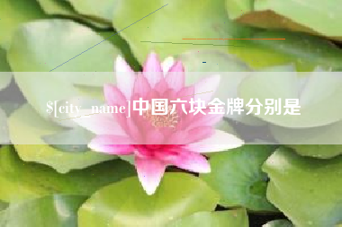 周口中国六块金牌分别是
