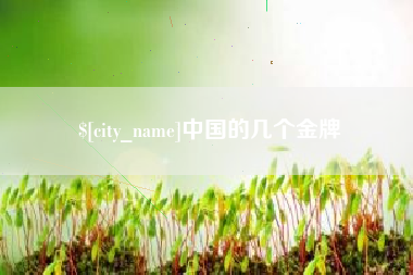 周口中国的几个金牌