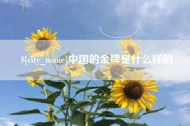 周口中国的金牌是什么样的