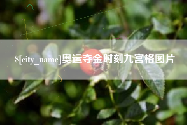 周口奥运夺金时刻九宫格图片