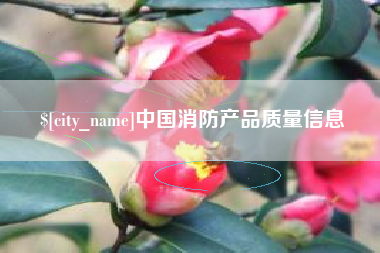 周口中国消防产品质量信息