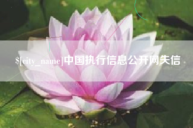 周口中国执行信息公开网失信