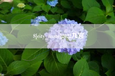 周口2022九宫