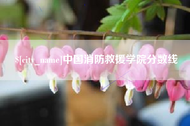周口中国消防救援学院分数线