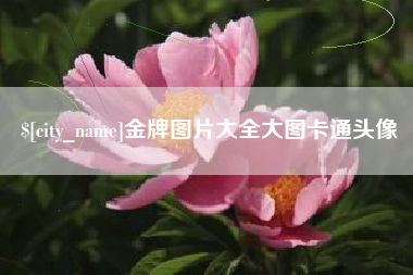 周口金牌图片大全大图卡通头像