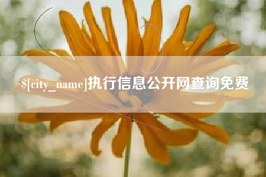 周口执行信息公开网查询免费