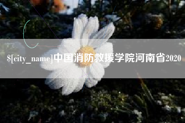 周口中国消防救援学院河南省2020