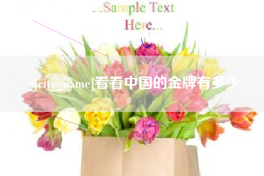 周口看看中国的金牌有多少